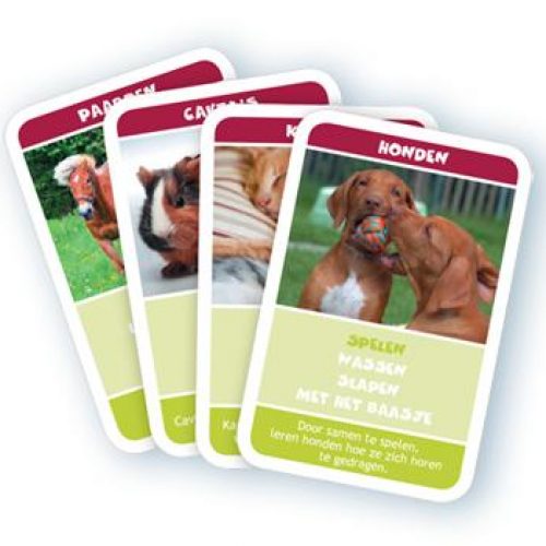 HuisdierenKwartet giftshop