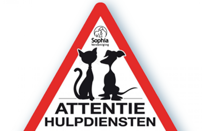 Sophia NoodSticker giftshop