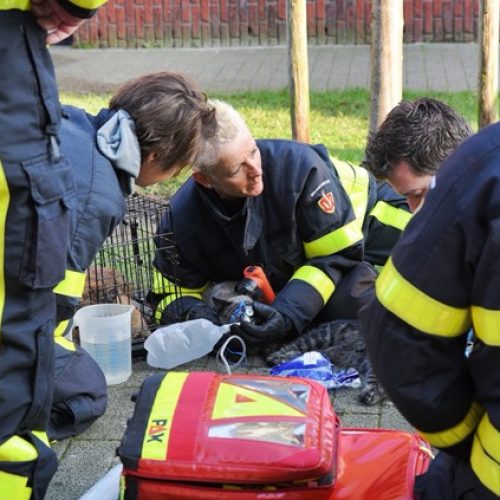 Brandweer Sophia NoodSticker