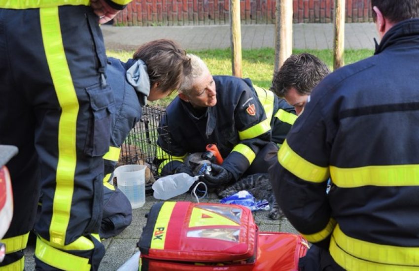 Brandweer Sophia NoodSticker