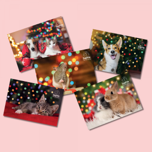 Nieuwe kerstkaarten giftshop