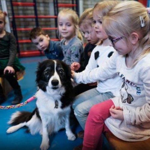 Sophia SnuffelCollege