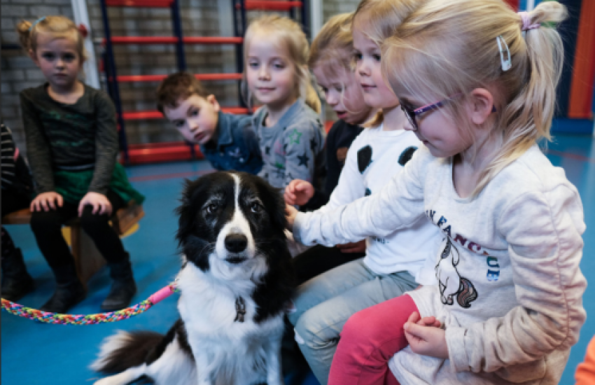 Sophia SnuffelCollege