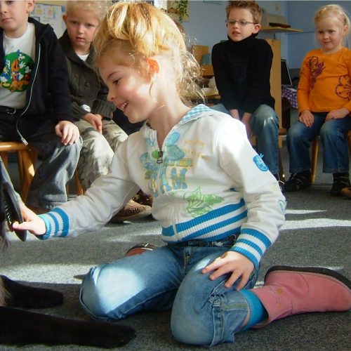 hond in de klas bij het SnuffelCollege