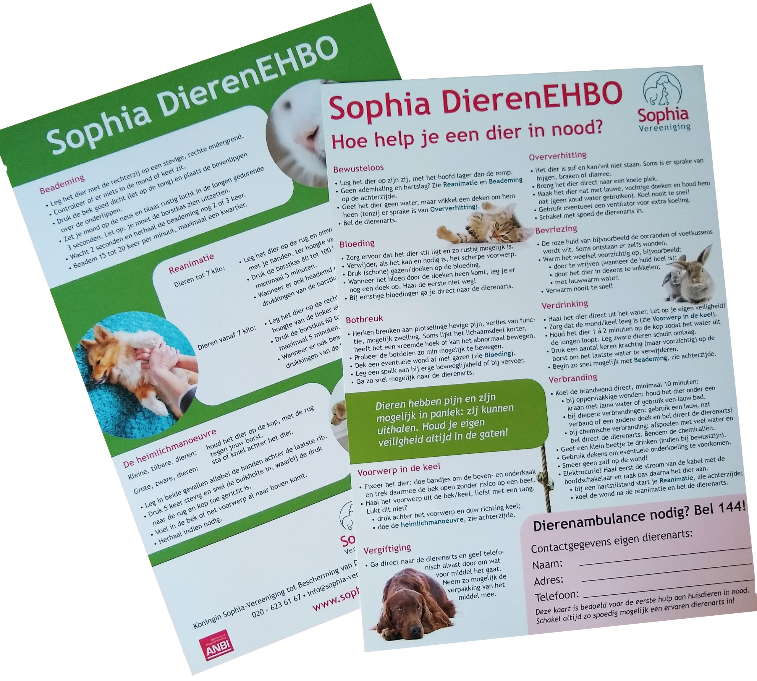 Bestel de EHBO-kaart | Sophia-Vereeniging