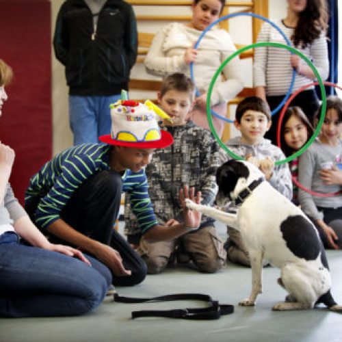 Sophia SnuffelCollege op multiculturele scholen