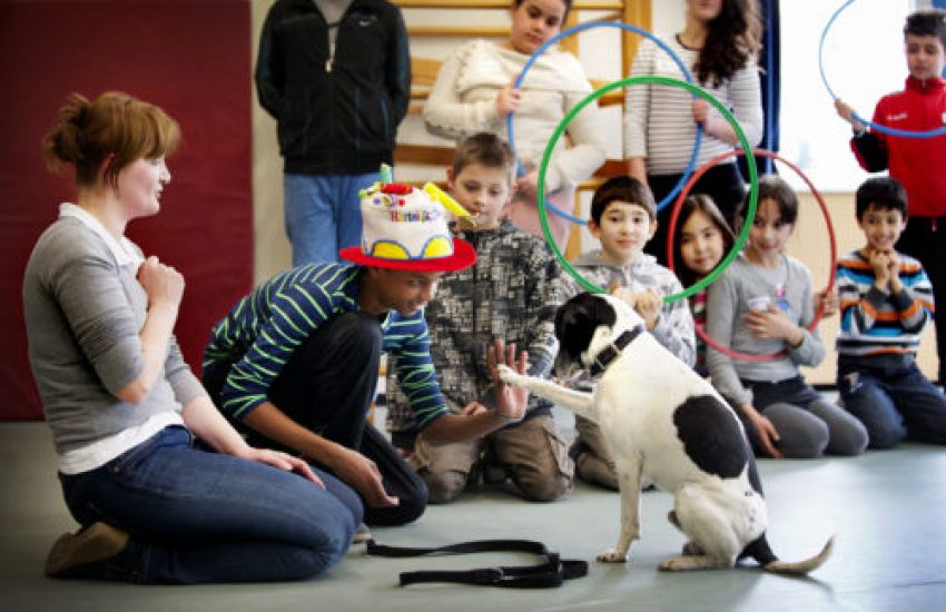 Sophia SnuffelCollege op multiculturele scholen