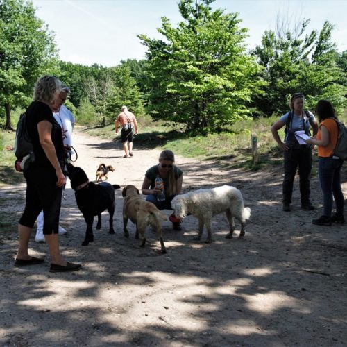 Vrijwilligersdag 2022