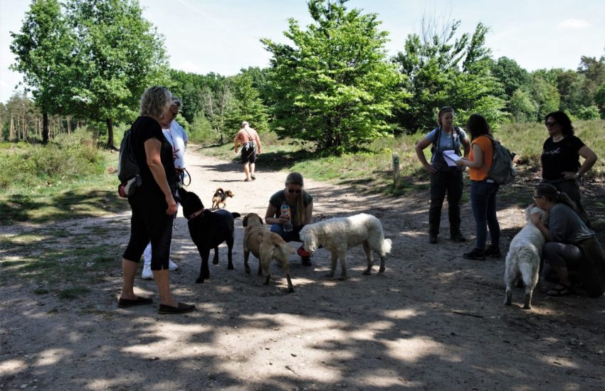 Vrijwilligersdag 2022