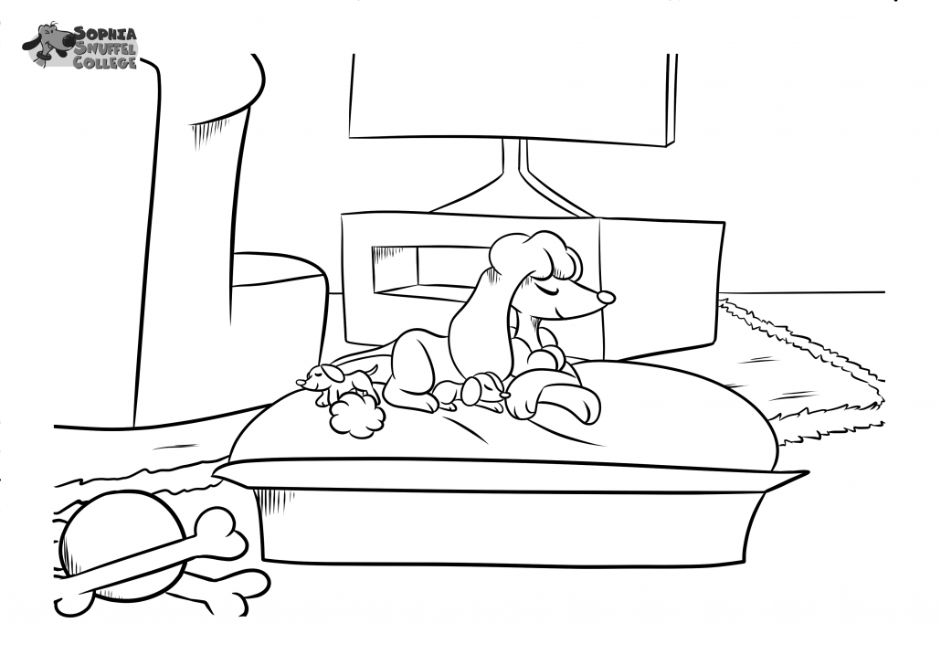 Sophia's SnuffelSpel