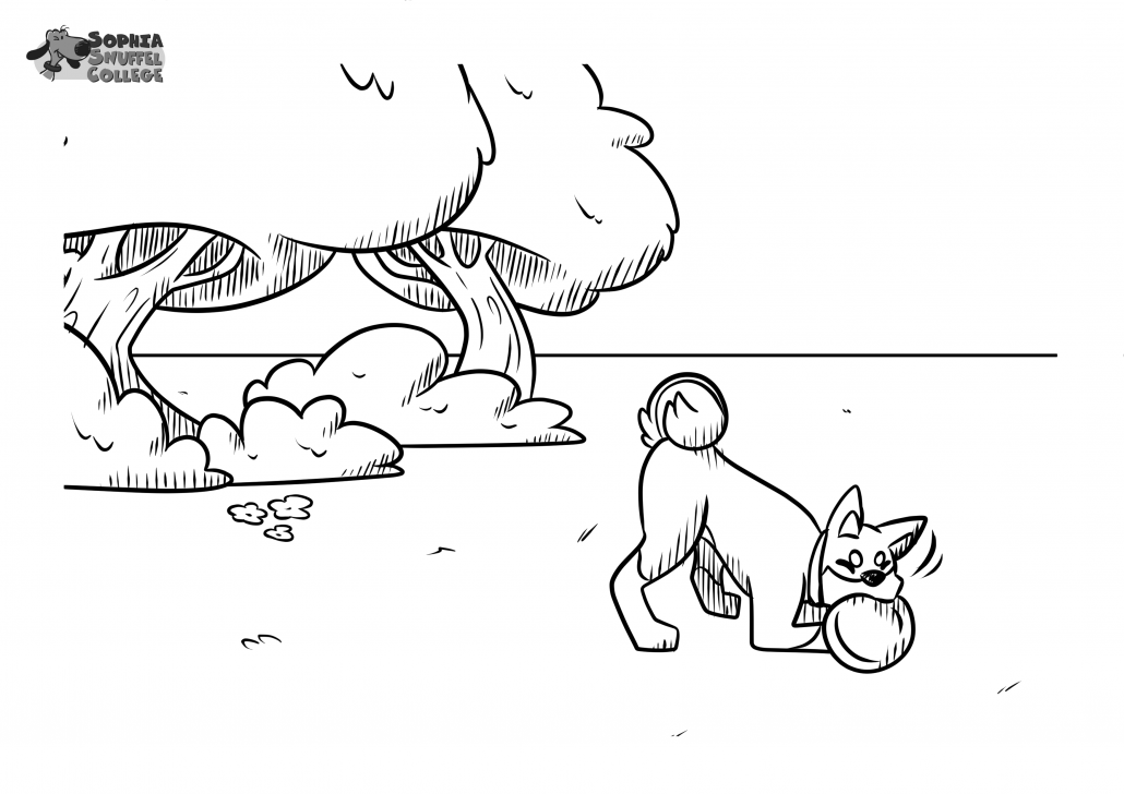 Sophia's SnuffelSpel