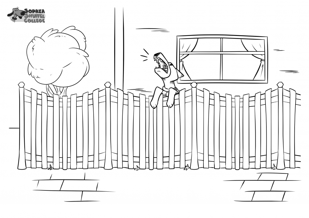 Sophia's SnuffelSpel