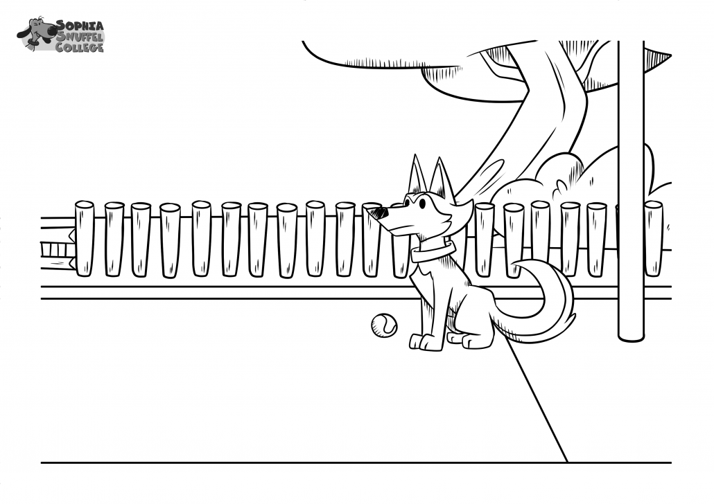Sophia's SnuffelSpel