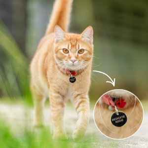 Kat Penning Medicatie nodig