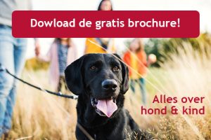Hond en kind