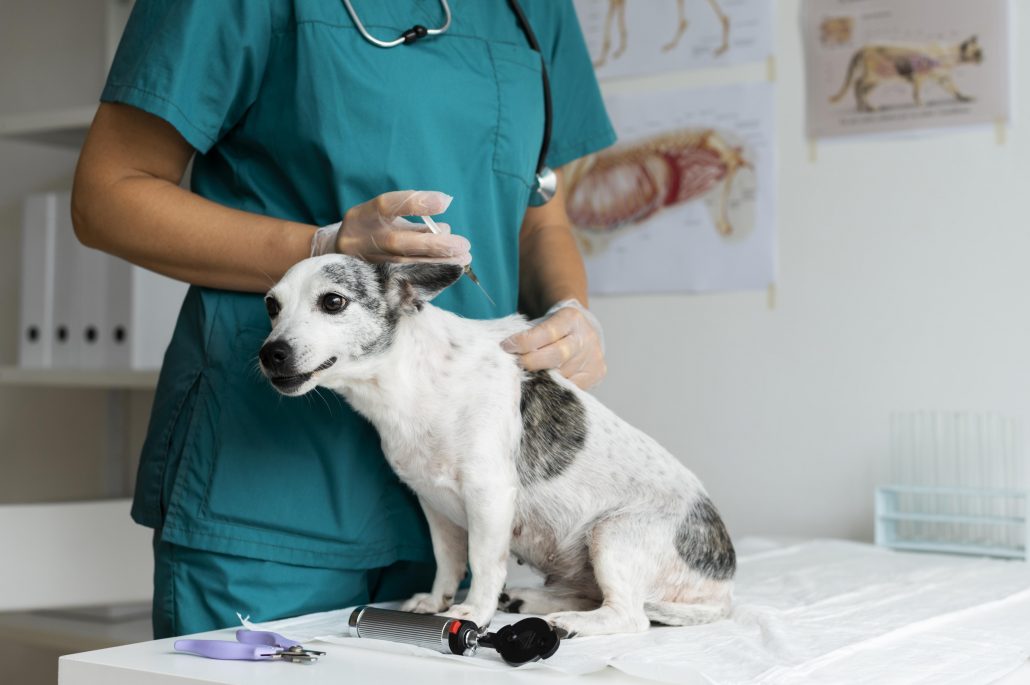 hond vaccinatie