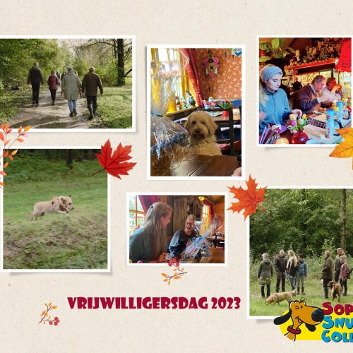 Vrijwilligersdag 2023