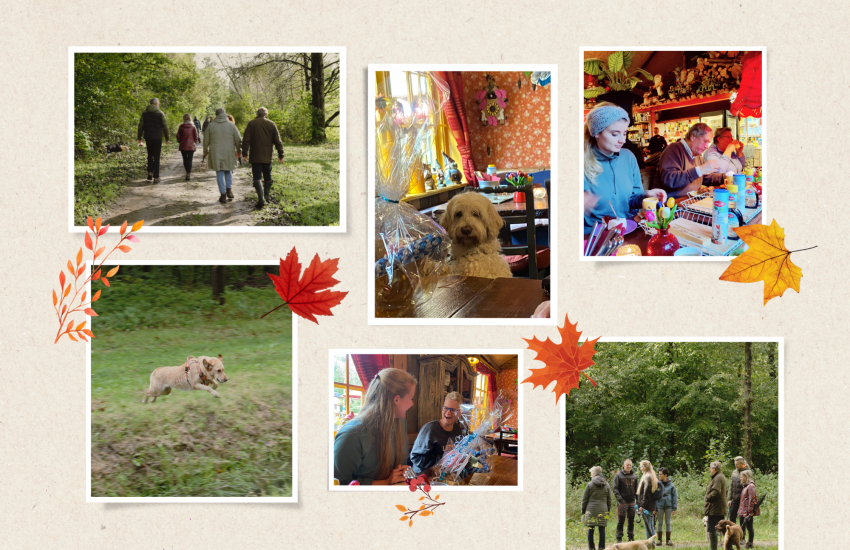 Vrijwilligersdag 2023