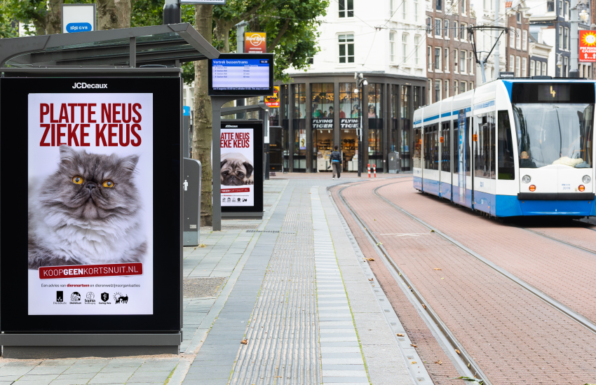 koop geen kortsnuit straatbeeld