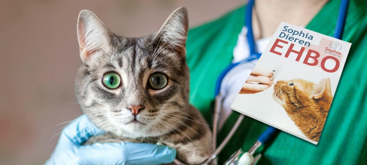 DierenEHBO