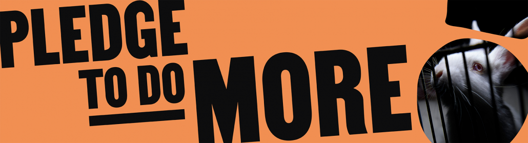 EU verkiezingen pledge dieren