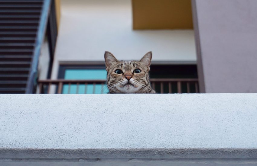 kat balkon
