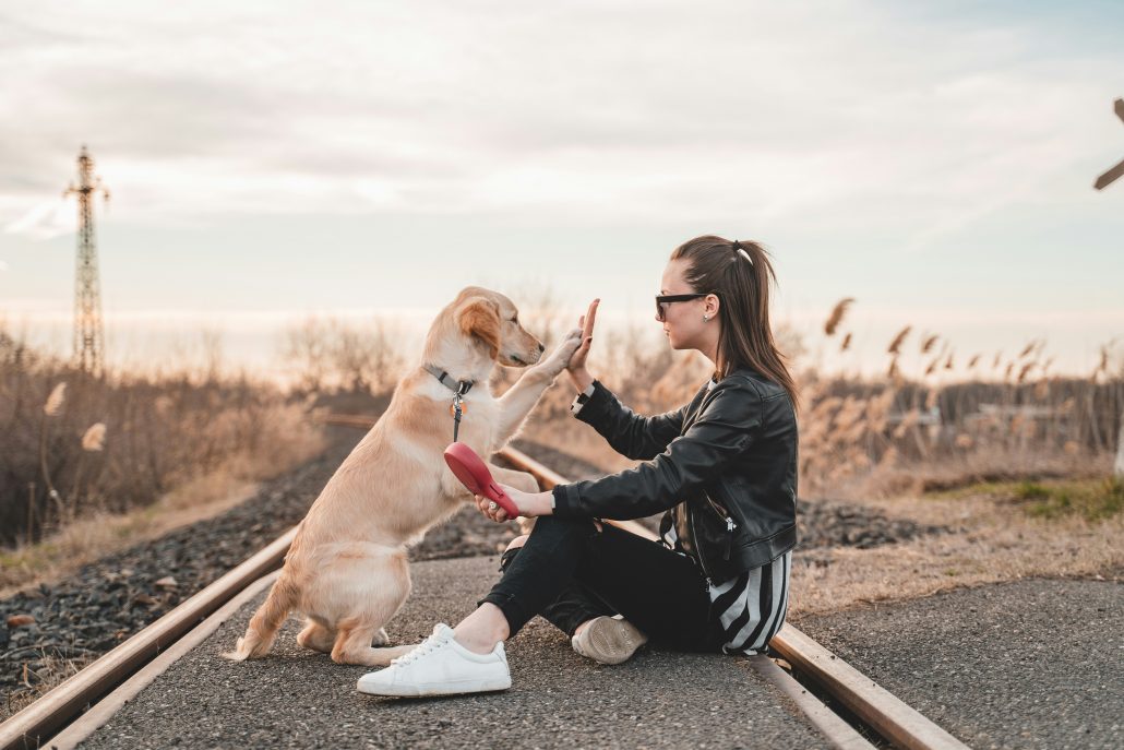 Hond en vrouw high five
