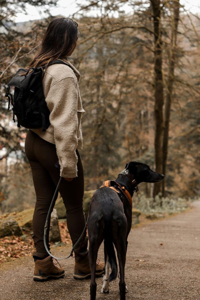 Hondenbaasje met hond