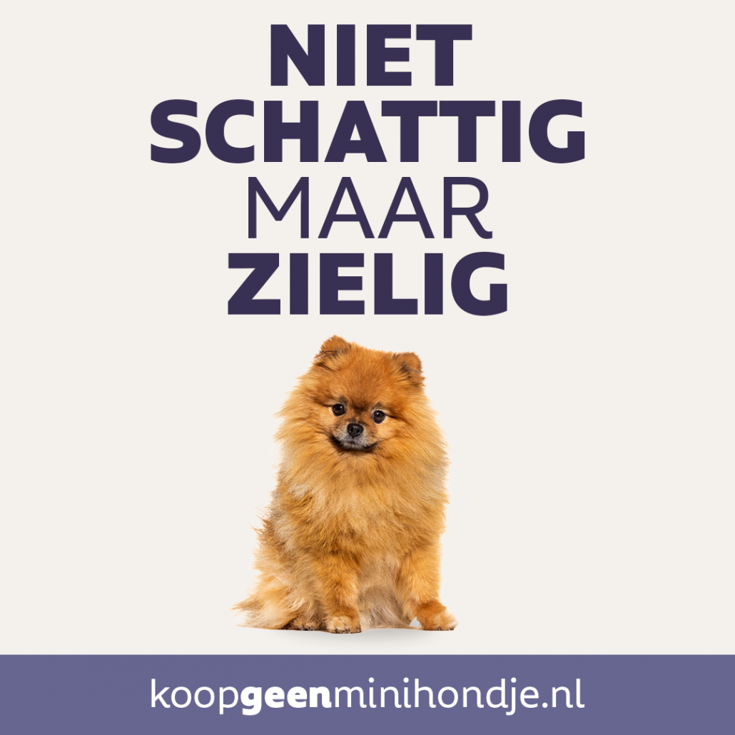 Niet schattig maar zielig

