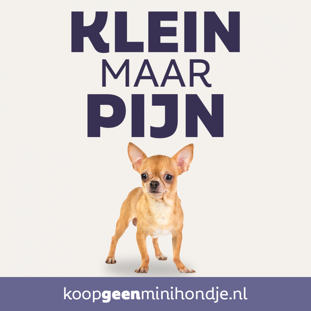 Koop geen Minihondje