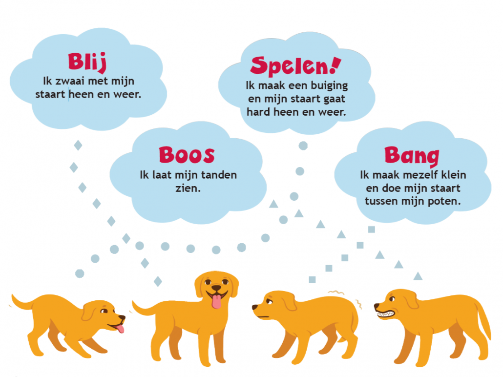 Werkboekje antwoorden lichaamstaal hond