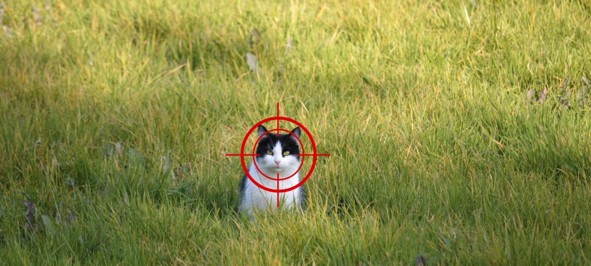 Zwerfkatten petitie
