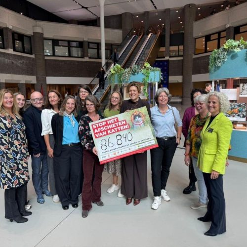 Petitie aanbieden afschot katten